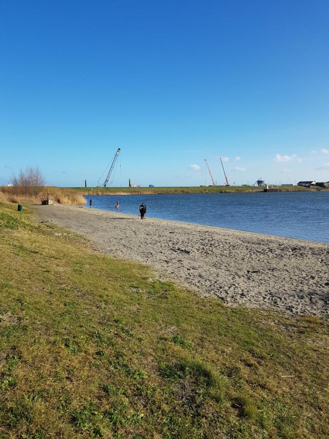 Wierhooft 21 Den Oever Eksteriør billede